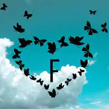 f name dp f name dp